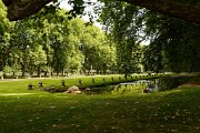 DSC_9314_DxO